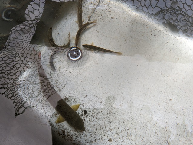 PXL_20230619_231910595