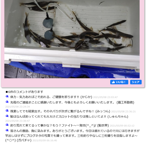 キャttyプチャ