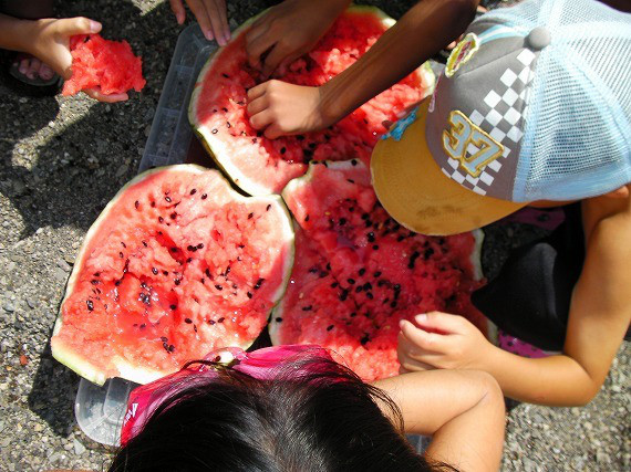 b090f59b.jpg
