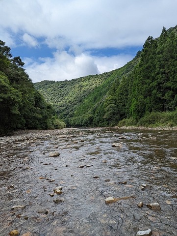 PXL_20220829_052131488