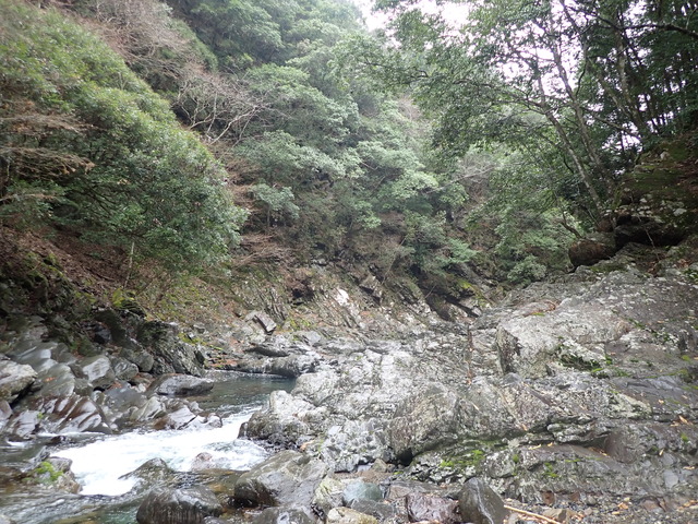P3121211