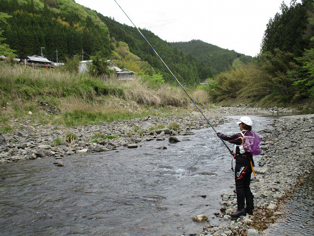b28f7607.jpg