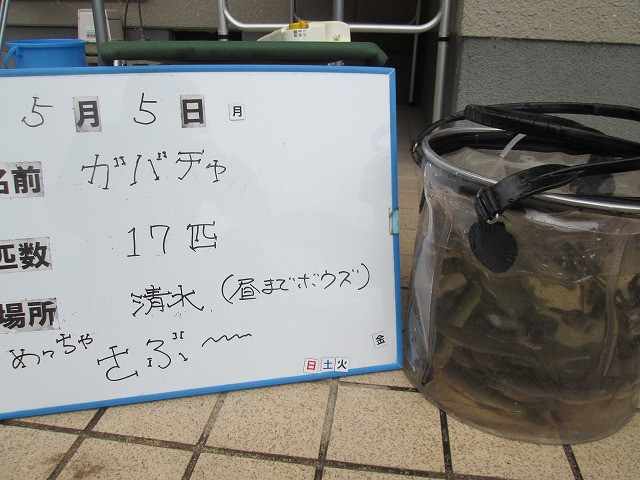 b2b3d547.jpg