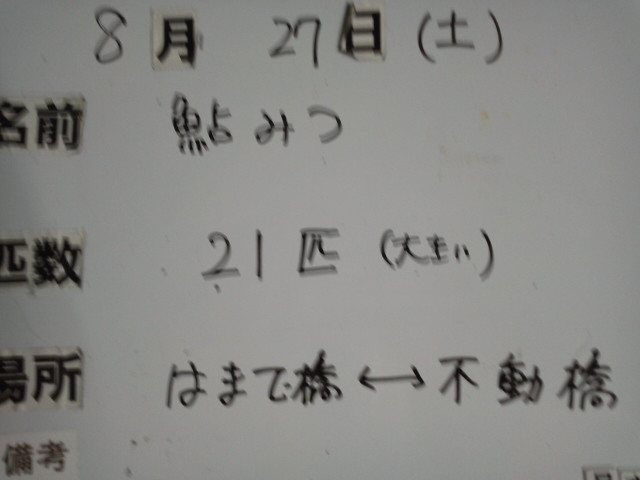 b5b87b34.jpg