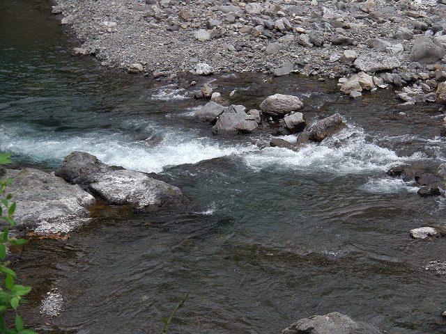 b5f4f74f.jpg