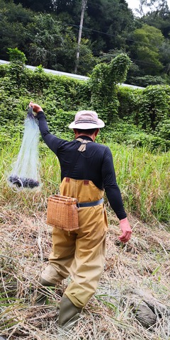 IMG_20200922_141429_1