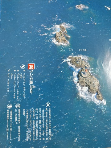 20201119_040222_HDR