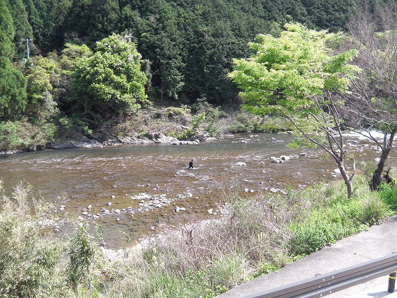 b6e3e211.jpg