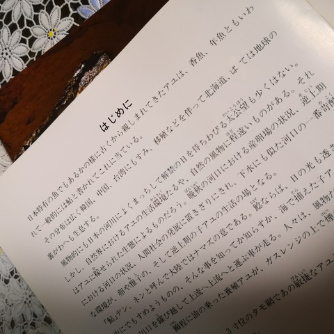 IMG_20201104_055340