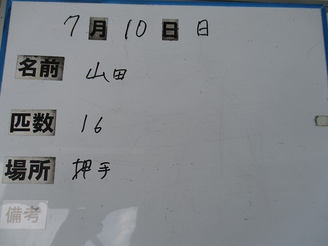 b79d7f11.jpg