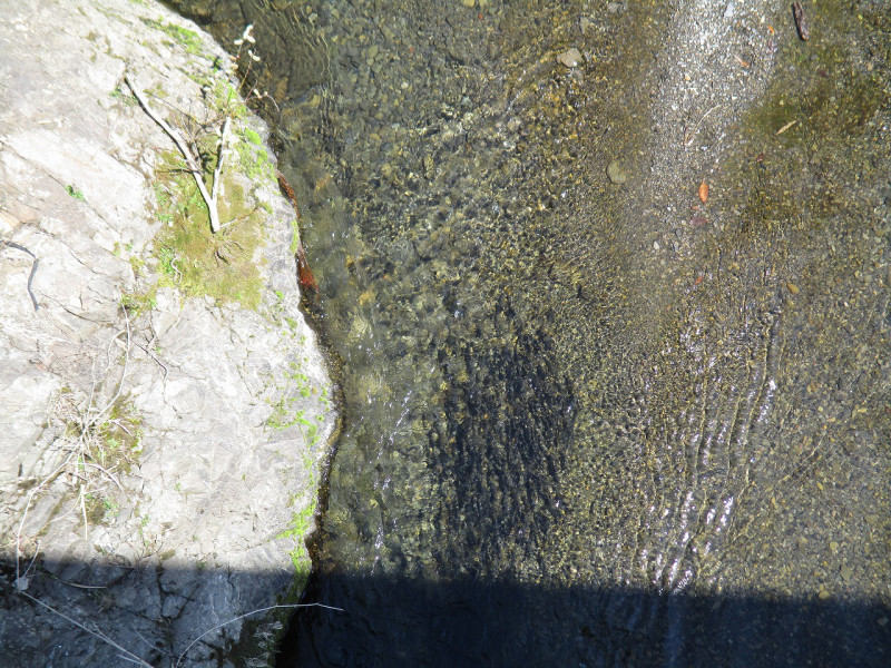 b7e61766.jpg