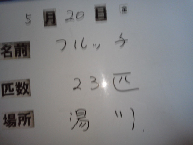 b7e69c68.jpg