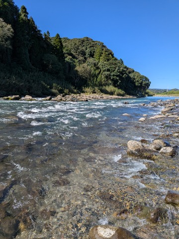 PXL_20251011_011944404.MP