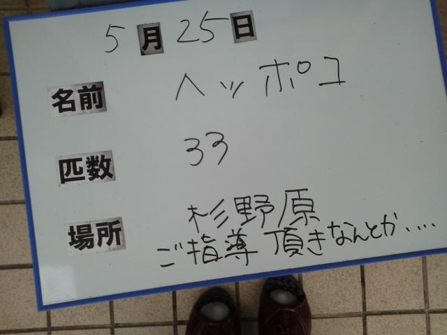 b857e41c.jpg