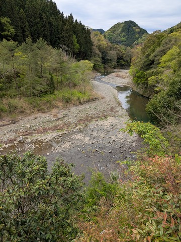 PXL_20260422_012527969.MP