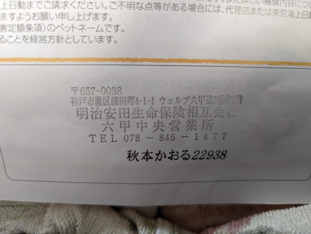 PXL_20220629_215828378