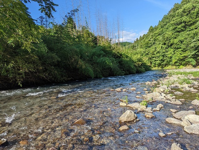 PXL_20220724_080326257