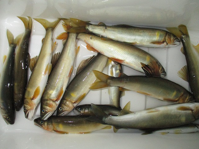 b9a96c8c.jpg