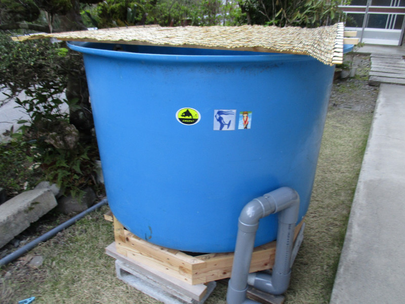 bb357cf6.jpg