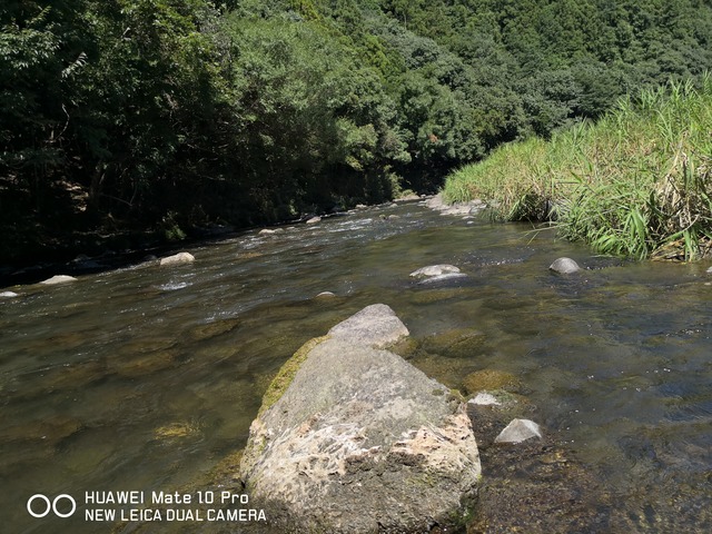 IMG_20200816_140559