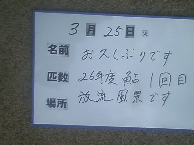 c0efa237.jpg
