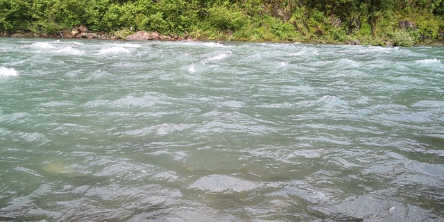 IMG_20200926_141930_1