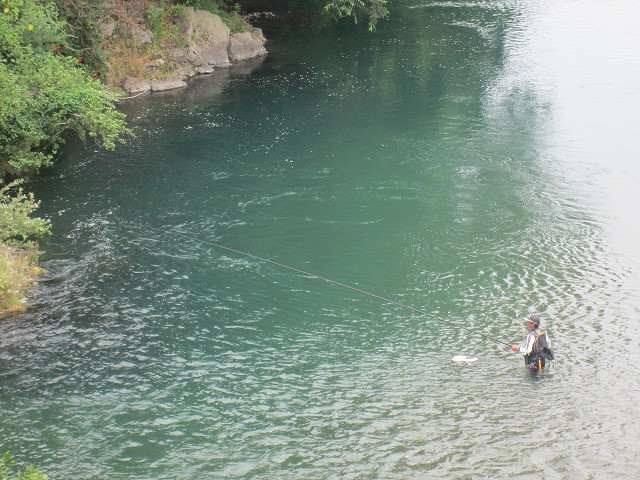 c3c549f6.jpg