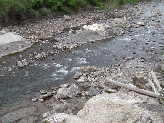 c45265c8.jpg