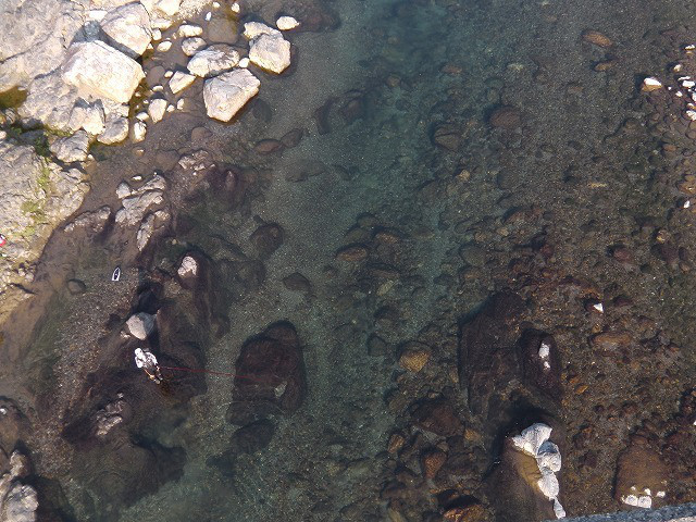 c4af5738.jpg