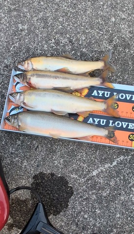 Screenshot_20251016-191730~2