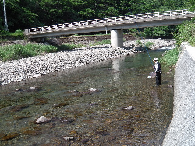 c5b78483.jpg