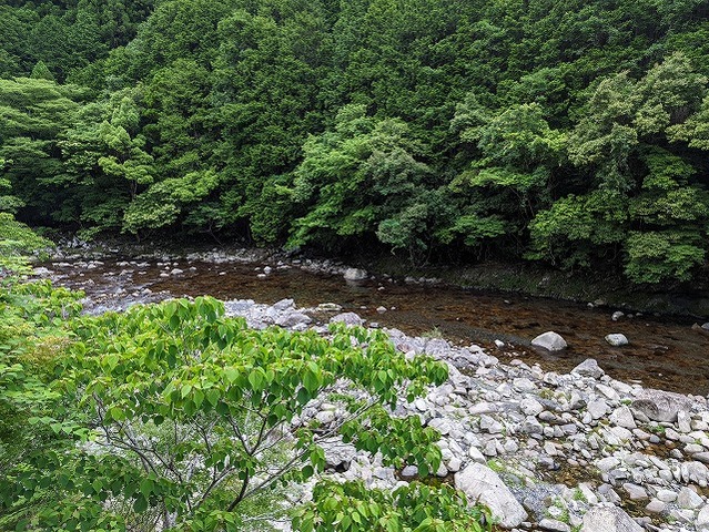 PXL_20220610_084734971