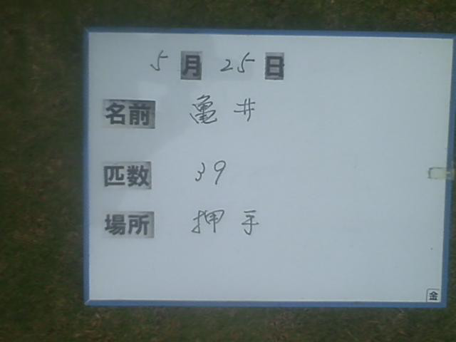 c5de8077.jpg