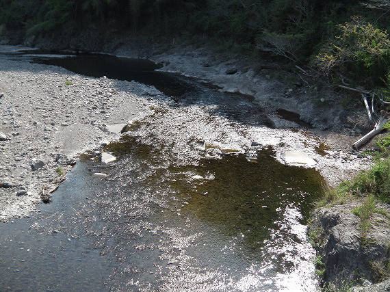 c6c54190.jpg