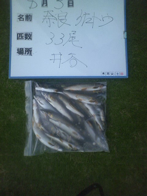 鮎釣り師のひとり言