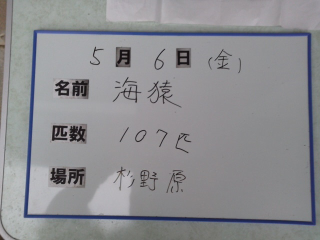 c8c19e08.jpg