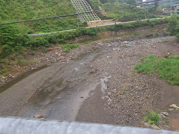 c9323386.jpg