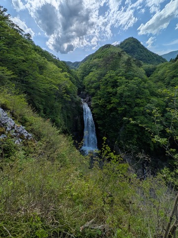 PXL_20260507_054116623.MP