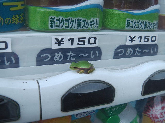 cb1ee86f.jpg