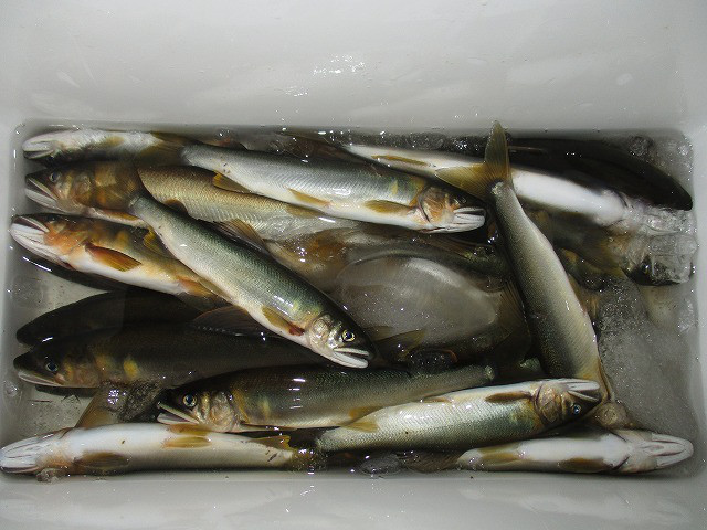 cb3c97d8.jpg