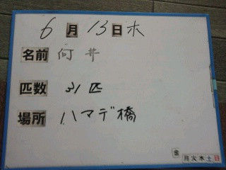 鮎釣り師のひとり言