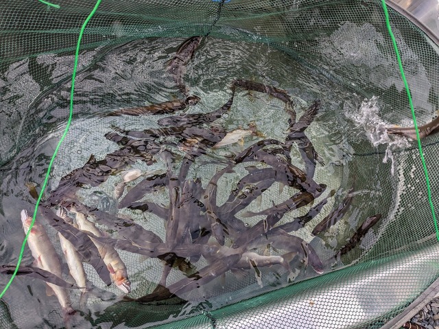 PXL_20230818_082400614.MP