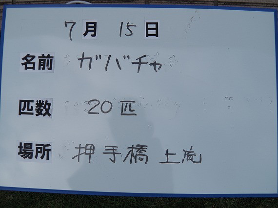 cd897ac1.jpg