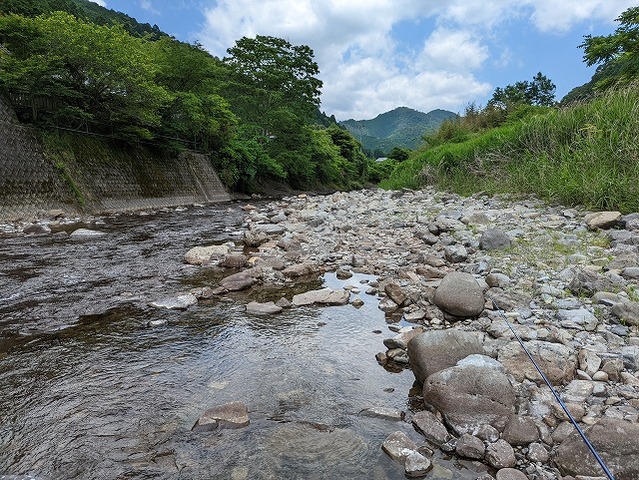 PXL_20220612_020148244
