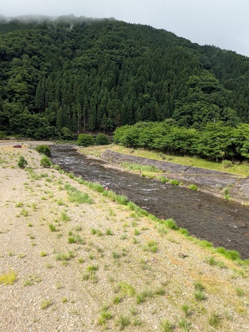 PXL_20250615_062110114.MP