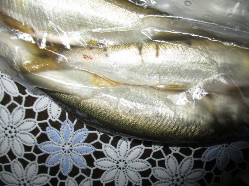 cf5d35e8.jpg