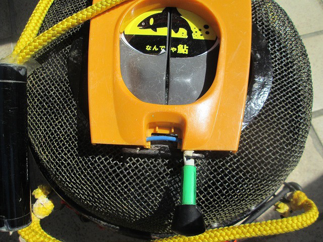 cfab8b74.jpg