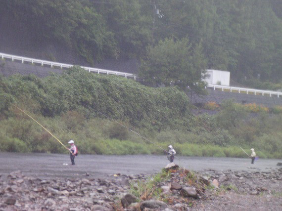 d025008c.jpg