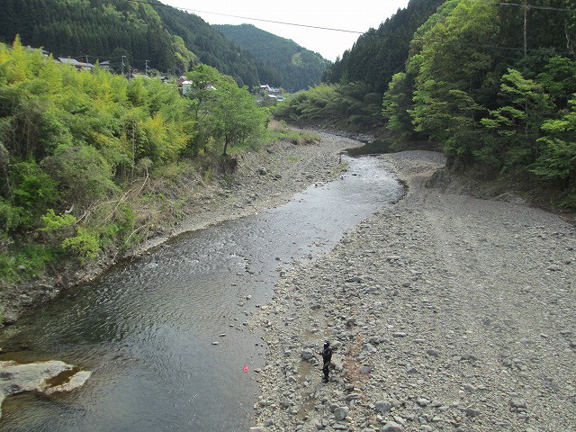 d06ced63.jpg