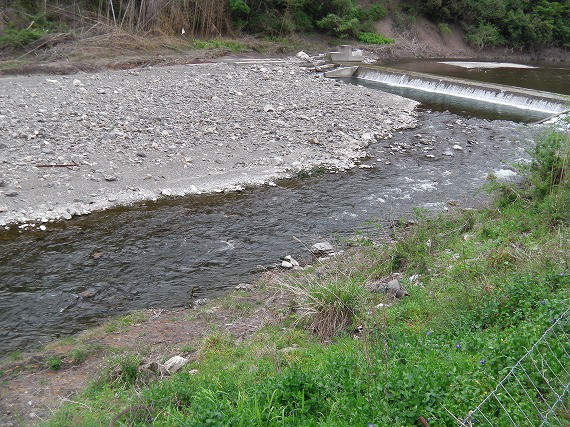 d087573b.jpg